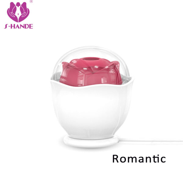 Romantic玫瑰之芮
